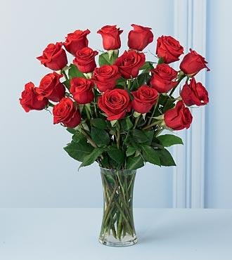 redrose