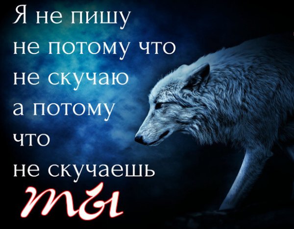 Я не пишу