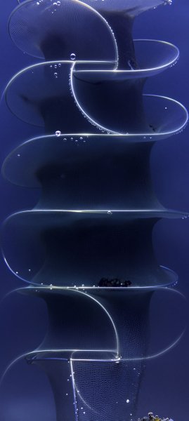 adapted 1080x2408 1791174639