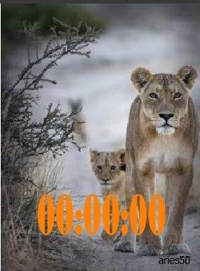 3 Львица с львёнком ани цифр часы
