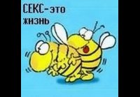 Seks zhizn