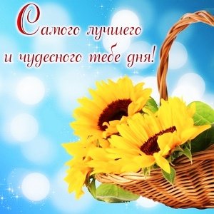 IMG 20181115 163539