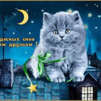file_73848945