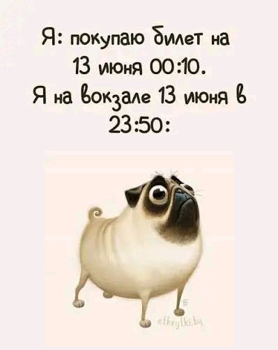 file_102881068