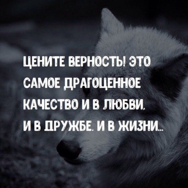 Цените верность!