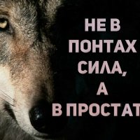 file_103286728