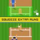 One More Run Cricket 2015 v 1.09