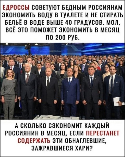 Хорошо так устроились