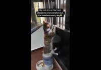 video_109788588