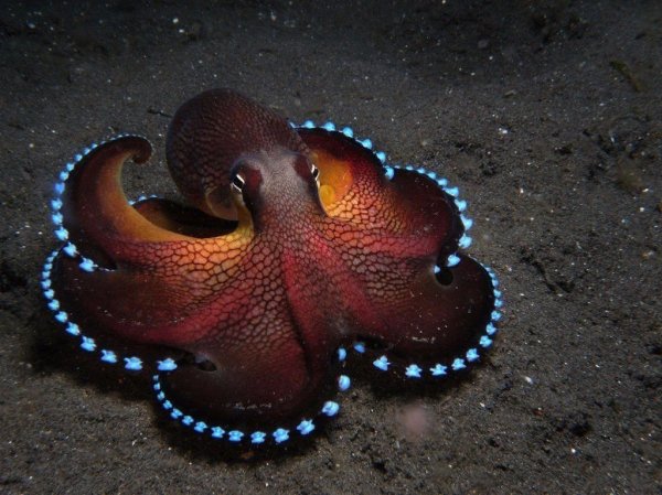 VbLVMlCMtAQ