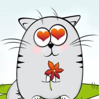 Кот 14 февраля