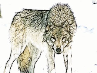 volf