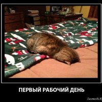 A600cccc0f4fd2bfe314d8cae8f6a394
