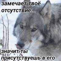 Замечают твоё отсутствие...