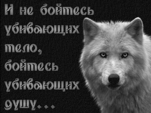 Хотелось бы ошибаться