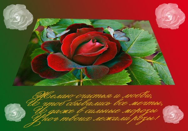 Rose Butterflies