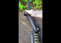 video_93377184
