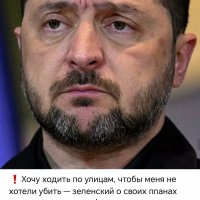 file_103506646