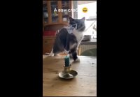video_104290627