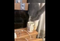 video_109909327