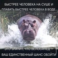 file_103603310