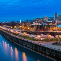 PortlandBlossoms ROW4378783991 UHD