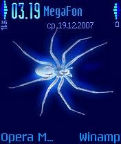 spider
