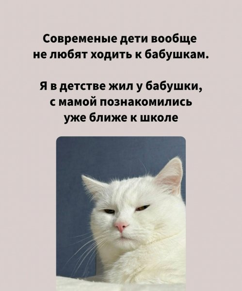 file_103445462