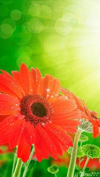 file_51690968