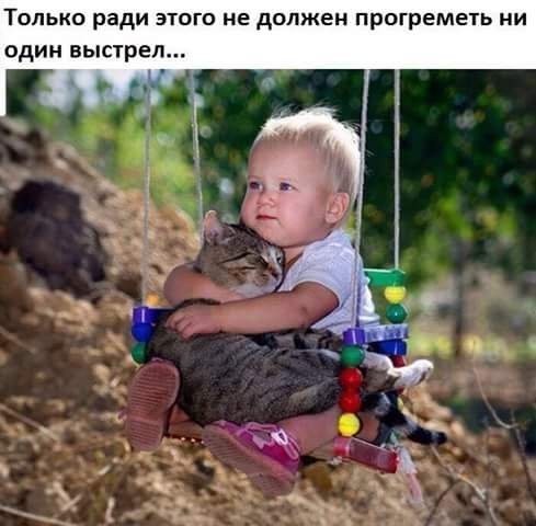 file_65678321