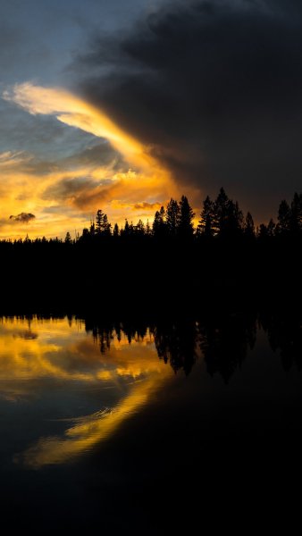 file_73079819
