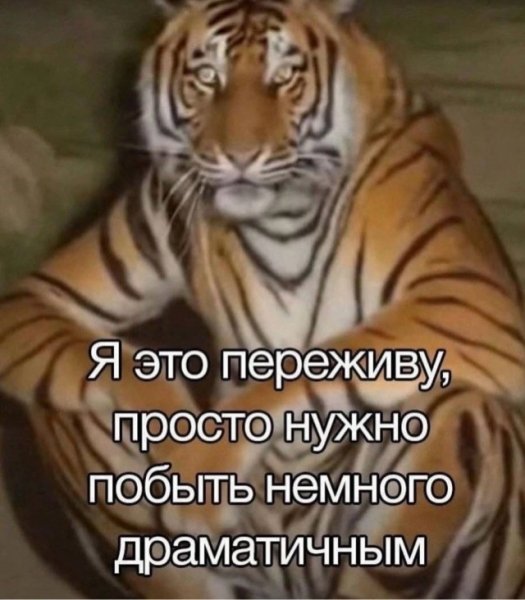 file_100464617
