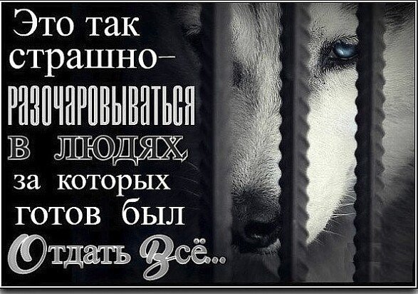 Разочаровываться