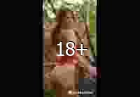 VideoCook 20250909 180613459