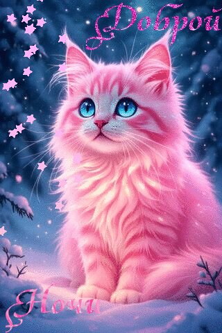 file_101632421