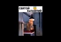 video_109818058