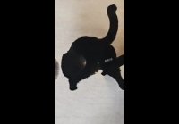 Videoplayback (15)