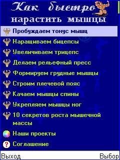 Как быстро нарастить мышцы