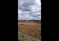 video_109548950
