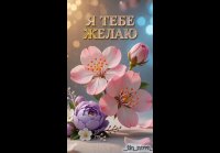 video_109511493