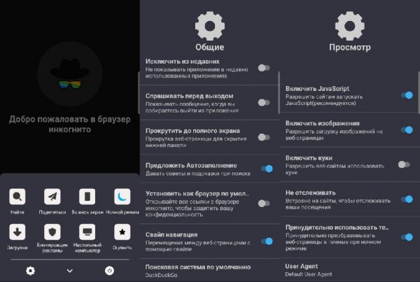 Browser-In-Incognito-60.8.37