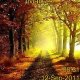 Autumn Road
