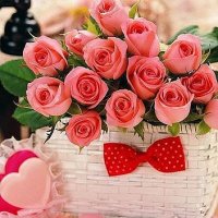 getImage (79)