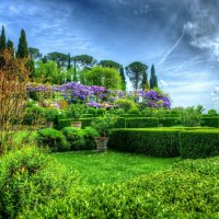 Image (48)