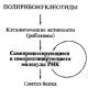 А.Спирин. Биосинтез белков мир РНК