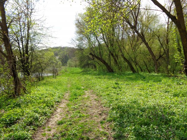 DSC04069