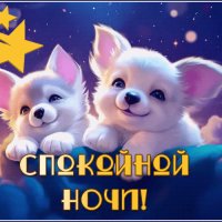 file_99245567