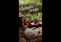 Доброго вечора