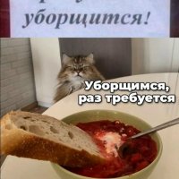 E3zvYZ