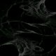 BlackWhiteElm